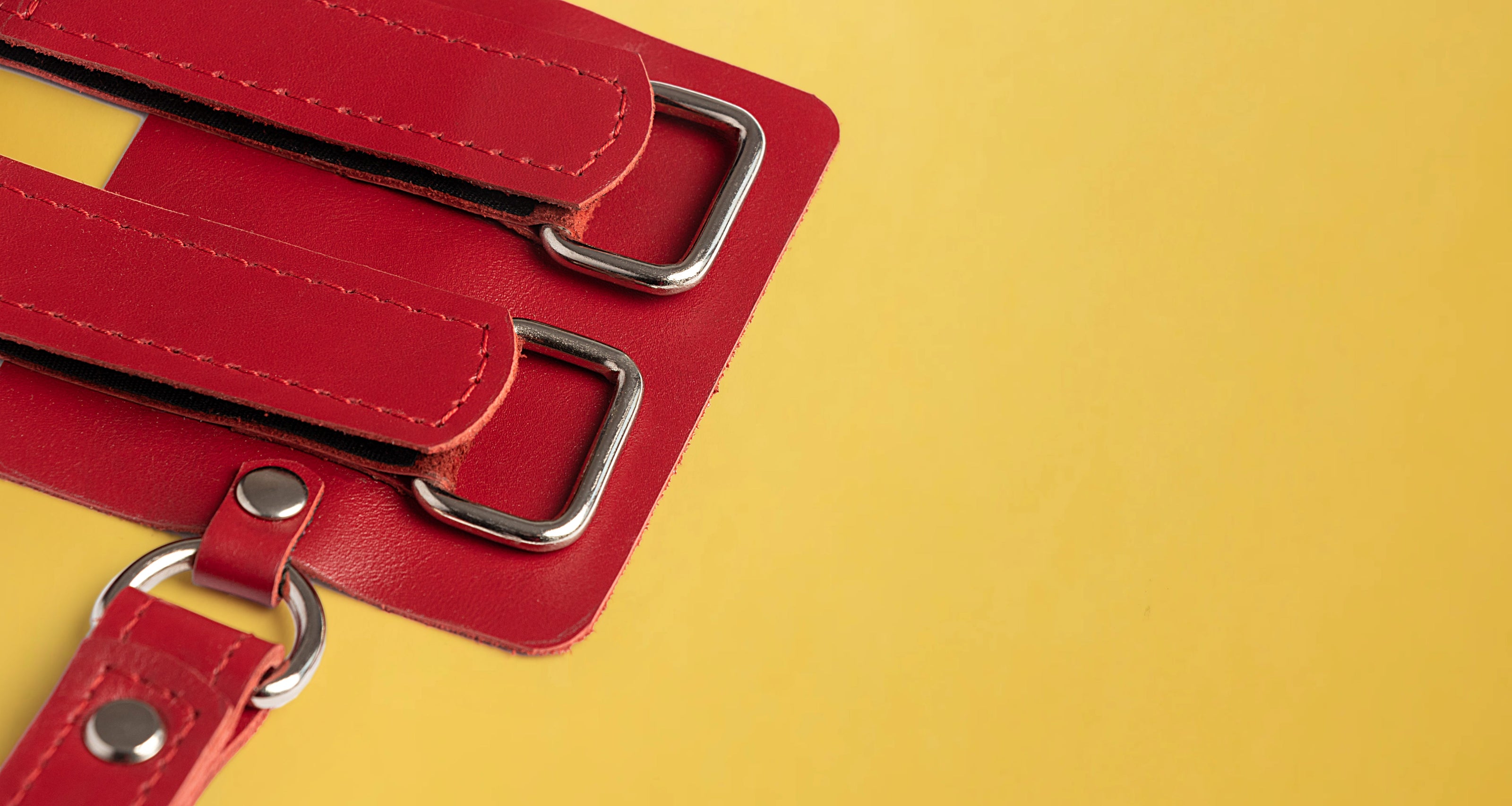 Minimalist colorful leather lanyards for mobility aids