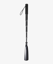 shoe horn for seniors who cannot bend